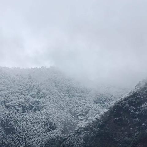 寒雪同心勘桥路 聚力共护徐氏根——泾川徐氏宗亲团结考察亮公祖墓神道纪实