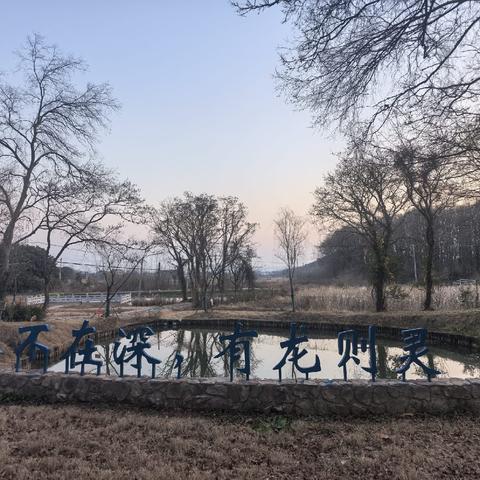 冬日访天井山记：文脉千年藏翠岫，禅心澄澈映寒泉