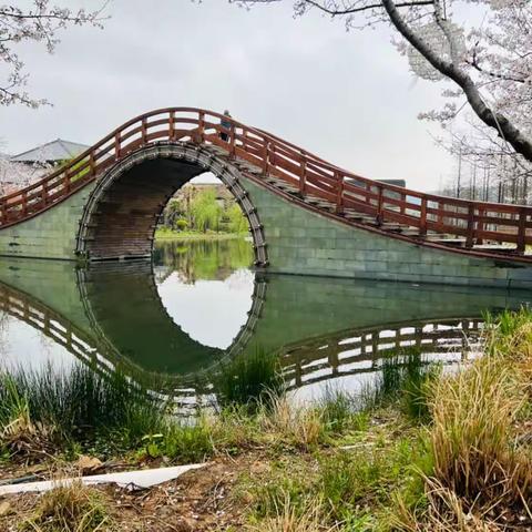 江南寻花踏春游(四)
