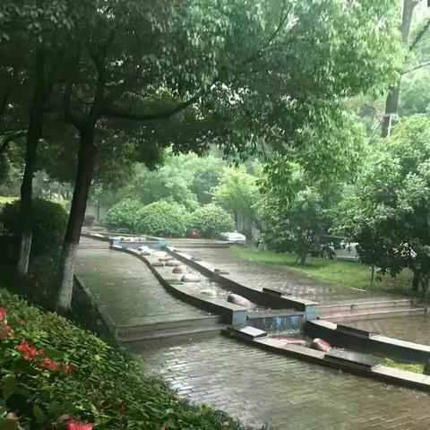 共赴一场烟雨朦胧