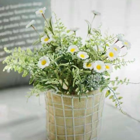 花之语