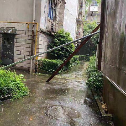 加强雨季巡查，消除安全隐患