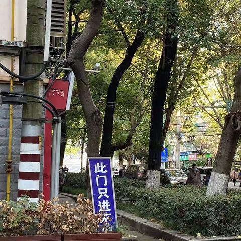 去枯枝护环境——廖家湾社区对死树枯枝进行集中清理