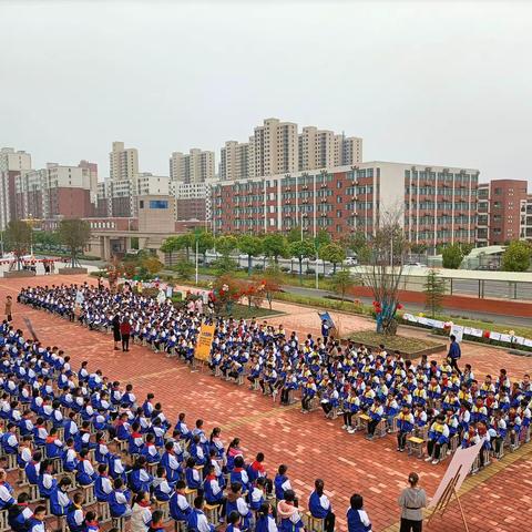 展思维之美，显数学魅力——郦都学校小学部三年级首届数学节活动圆满成功