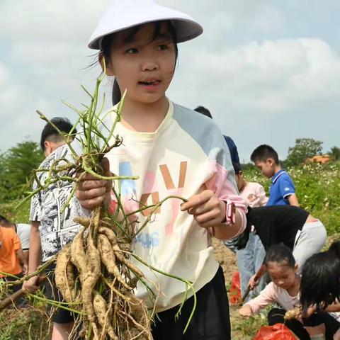 萤火虫周末亲子徒步活动掠影28期