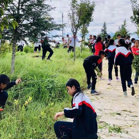 “爱国卫生，我们在行动！”—鹤庆县六合彝族乡中心小学