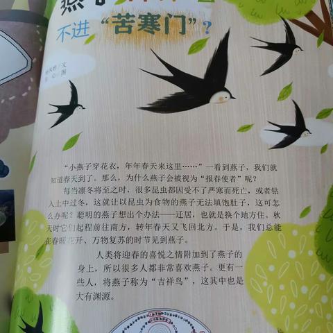 小学生中高年级优秀期刊汇总