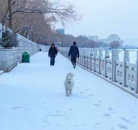 2018年第一场雪