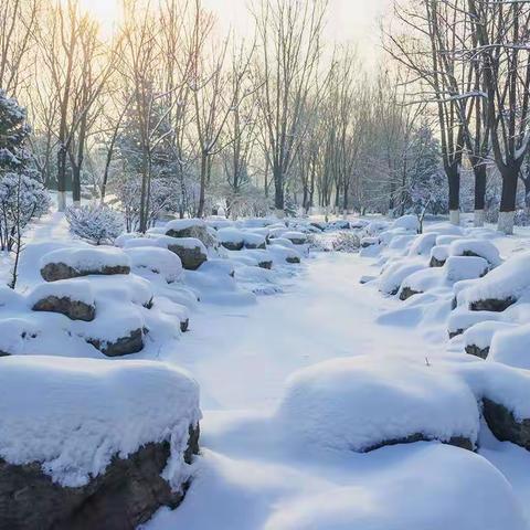 2019年第一场雪后万柳公园