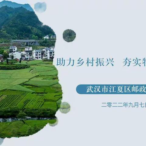 助力乡村振兴  夯实物流体系建设