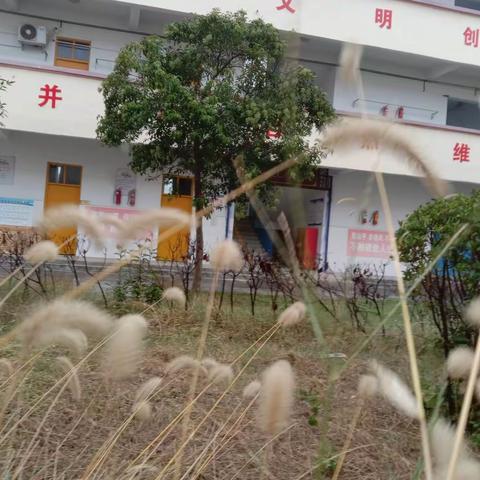 全面消杀不留死角，筑牢春季开学第一防线  ——记牛城乡第二初级中学2022年春季开学前消杀工作