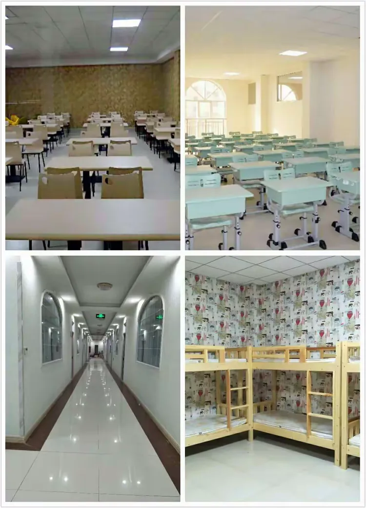 青岛泽园教育初小衔接7月3日正式启动