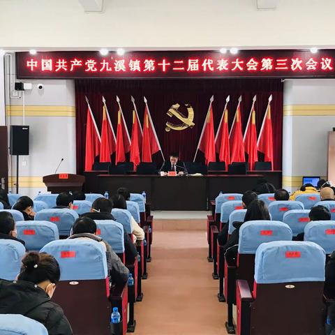 踔厉奋发 奋楫争先丨中国共产党九溪镇第十二届代表大会第三次会议胜利召开