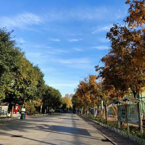 赴北京育新学校研学小组，Day4