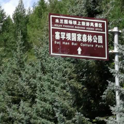 塞罕坝森林公园之行