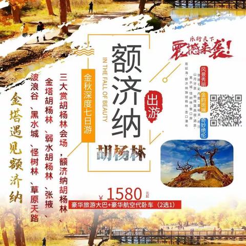 【金塔遇见额济纳】10月1号成团全新升级，三大赏胡杨林会场，额济纳胡杨林、金塔胡杨林、弱水胡杨林、张掖摄影七日