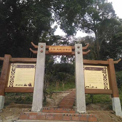 我的家乡基诺山～最美乡村～亚诺村～