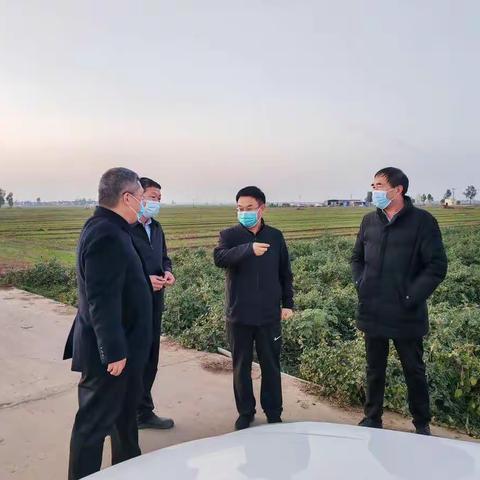 县委书记王海涛深入小河镇调研农村人居环境整治、产业发展等重点工作