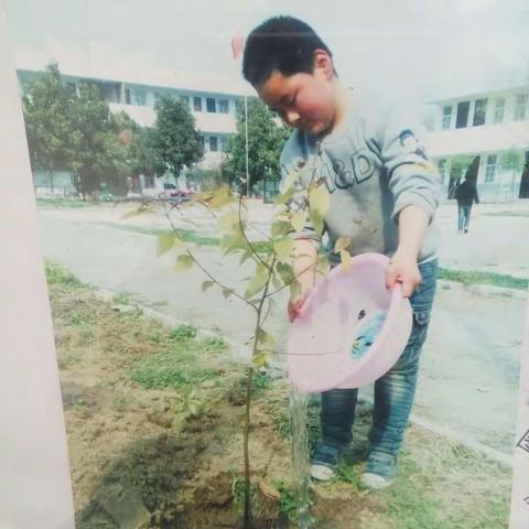 植树节时，我们柏苑于楼小学举行了植树活动。