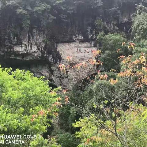 重游桃花园     再探太古洞