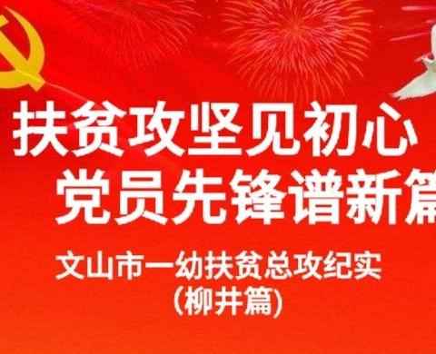 扶贫攻坚见初心    党员先锋谱新篇之柳井篇