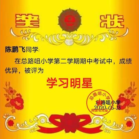 抗疫期间孩子们所取得的成绩！