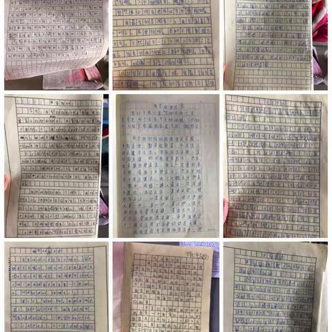 劳动创造美！我劳动我光荣！我校展开了劳动教育活动，以下是四（3）班的学生劳动成果展示，形式多样化
