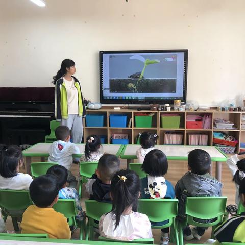 官渡区幼儿园魅力校区小四班——《我也来种植》