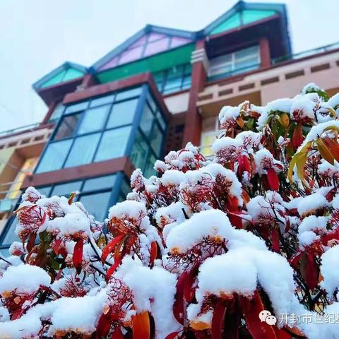 拥抱初雪，点亮童年