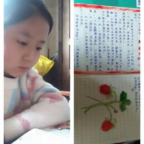 【七彩阳光·朗朗岔小】“浸润书香，同步小康”四年级4班孩子的读书模样展示