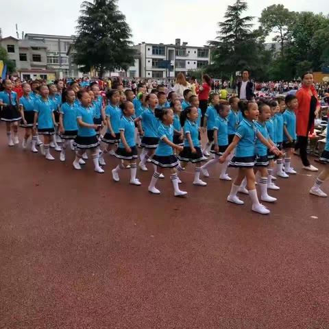 我是园丁，他们是小树