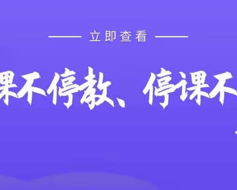 线上展魅力 教研促成长