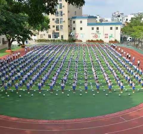 天涯小学“搬家式”大扫除