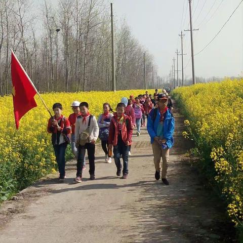 家乡真美好，我们去看看一一银莲湖小学"爱我银莲"师生野外拉练剪影