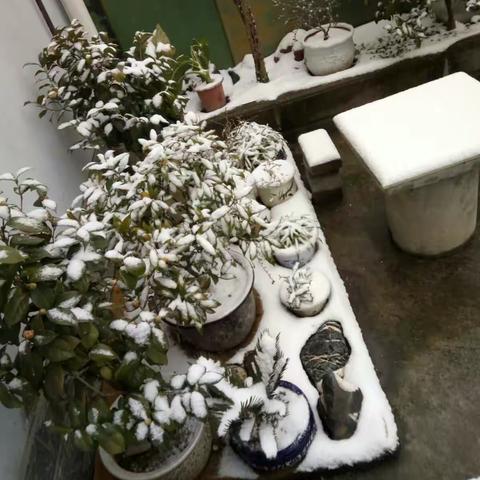 雪韵