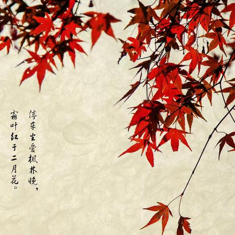 秋色正艳