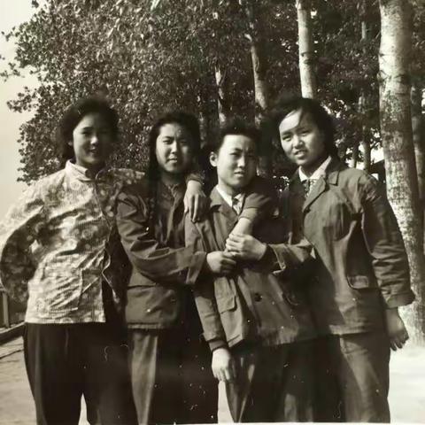 《我的上半生》 54年前的今天我来到这个世界,一晃由青涩少女变成现在的黄脸婆，经历了太多太多...