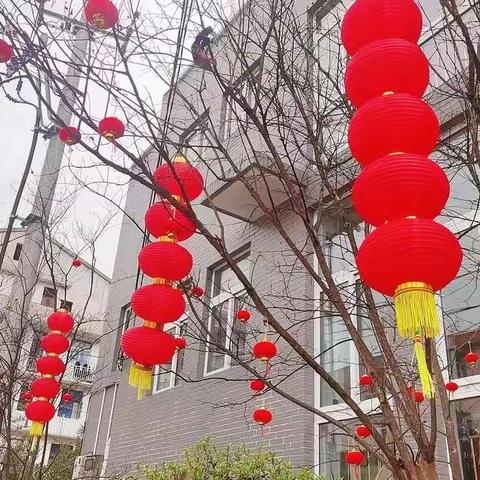 刘英小学602班丁昭心                   多姿多彩过寒假，龙腾虎跃迎新年