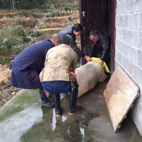 308班丁昭希农历新年之年味