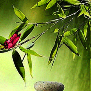 仰望星空的美篇