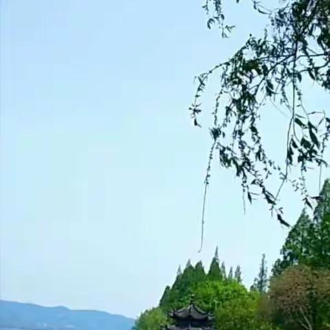 来是诗词去作赋   （轱辘体）