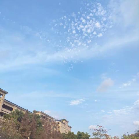 246      今日小记