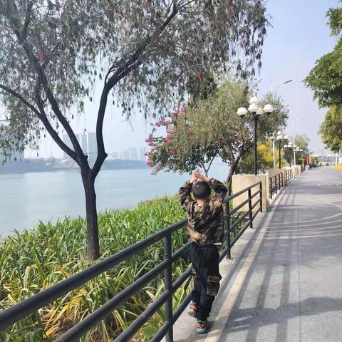 248     今日小记