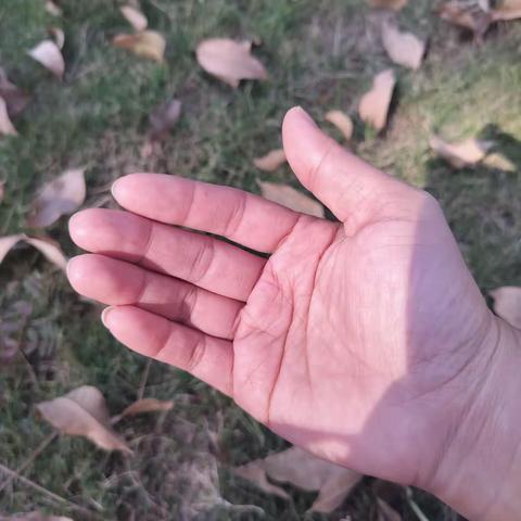 250     今日小记