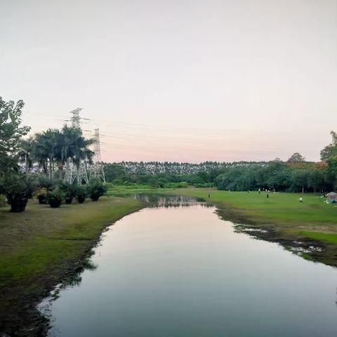 252      今日小记