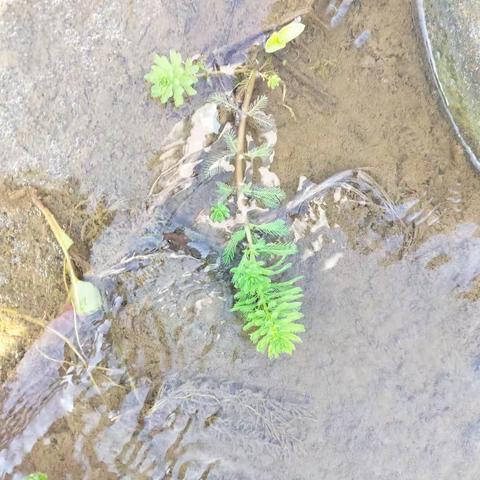 244       今日小记