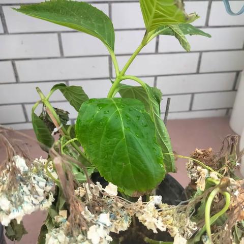 243      今日小记