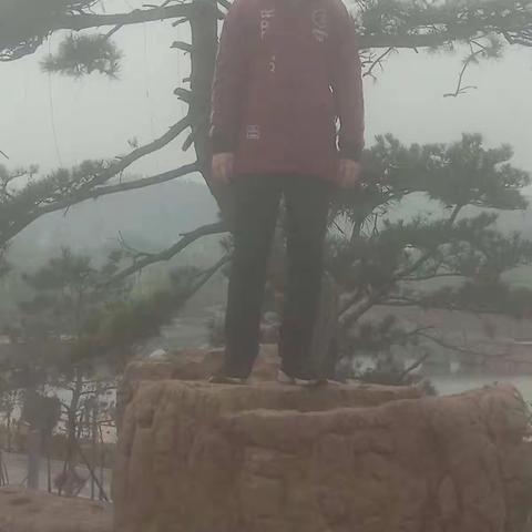 威武之躯、屹立顶峰