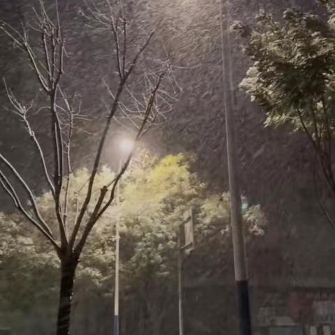 忙碌的“双十一”——口腔科种植牙的一天