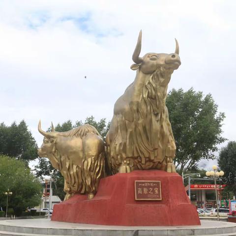 在离天最近的地方遛弯  拉萨